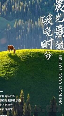 大象传媒视频下载入口-探索大象传媒视频的下载新途径