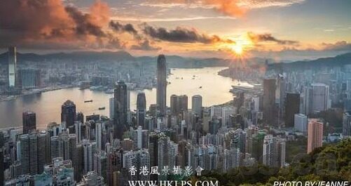 新婚人妻-新婚人妻，爱的启航与生活的细腻编织