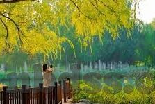 宅宅网伦理电影-宅宅网，伦理电影的隐秘花园